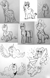 Size: 1234x1920 | Tagged: safe, artist:verikoira, imported from derpibooru, big macintosh, maud pie, pinkie pie, princess celestia, princess luna, rarity, spike, sunburst, alicorn, dragon, earth pony, pony, unicorn, female, male, mare, monochrome, stallion