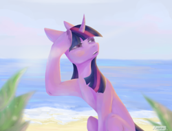 Size: 1140x872 | Tagged: safe, artist:louraa, imported from derpibooru, twilight sparkle, pony, unicorn, beach, digital art, female, hooves, horn, mare, ocean, sand, sky, solo, unicorn twilight