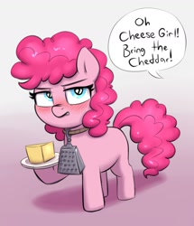 Size: 1230x1432 | Tagged: safe, alternate version, artist:heretichesh, imported from derpibooru, pinkie pie, earth pony, pony, blushing, cheese, cheese grater, collar, dialogue, food, offscreen character, pinkie pie is not amused, plate, unamused