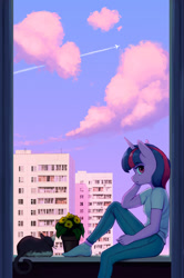 Size: 1300x1961 | Tagged: safe, artist:mrscroup, imported from derpibooru, twilight sparkle, anthro, cat, plantigrade anthro, unicorn, building, city, clothes, contrail, cyrillic, female, flower, flower pot, jeans, looking at you, male, pants, plane, plattenbau, profile, russian, shirt, sitting, skyline, socks, solo, stocking feet, straight, unicorn twilight, window