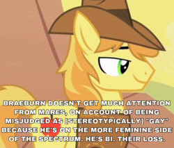 Size: 828x707 | Tagged: safe, edit, edited screencap, imported from derpibooru, screencap, braeburn, over a barrel, headcanon, implied bisexual, lgbt headcanon, text