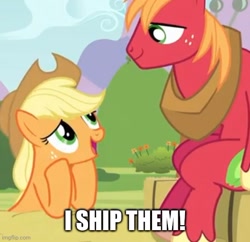 Size: 508x491 | Tagged: safe, edit, edited screencap, imported from derpibooru, screencap, applejack, big macintosh, apple family reunion, applecest, applemac, caption, cropped, female, image macro, imgflip, incest, male, shipping, straight, text