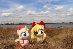 Size: 4096x2731 | Tagged: safe, artist:xeto_de, imported from derpibooru, oc, oc:lily allure, oc:wingblossom, pony, irl, nationalpark de groote peel, netherlands, photo, plushie