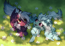 Size: 1920x1348 | Tagged: safe, artist:lara_kill_craft, imported from derpibooru, fleetfoot, oc, oc:nighty cloud, pegasus, pony, canon x oc, commission, commissioner:fleetfoot, duo, duo female, ear piercing, earring, female, fleetnight, flower, grass, grass field, happy, jewelry, lesbian, open mouth, piercing, ponyloaf, shipping, signature, smiling, spread wings, surprised, tail, wings