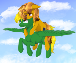 Size: 3000x2500 | Tagged: safe, artist:nihithebrony, imported from derpibooru, oc, oc:amber honeycombs, oc:sky arrow, pegasus, pony, unicorn, commission, duo, female, high res, male, mare, stallion