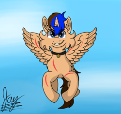 Size: 1600x1500 | Tagged: safe, artist:jay_wackal, imported from derpibooru, oc, oc only, pony, male, solo