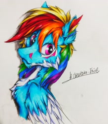 Size: 2888x3296 | Tagged: safe, artist:creature.exist, imported from derpibooru, rainbow dash, fluffy pony, pegasus, pony, ear fluff, fluffy, high res, looking at you, photo, simple background, solo, traditional art, white background, white fur, white wings