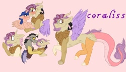 Size: 938x540 | Tagged: safe, artist:cocolove2176, imported from derpibooru, discord, oc, oc:coraliss rose, alicorn, draconequus, hybrid, pony, alicorn oc, blushing, bust, draconequus oc, female, horn, interspecies offspring, male, oc x oc, offspring, parent:discord, parent:flash sentry, parent:fluttershy, parent:twilight sparkle, parents:discoshy, parents:flashlight, pink background, reference sheet, shipping, simple background, wings