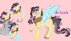 Size: 938x540 | Tagged: safe, artist:cocolove2176, imported from derpibooru, oc, oc only, draconequus, hybrid, pegasus, pony, bust, draconequus oc, female, interspecies offspring, male, oc x oc, offspring, parent:discord, parent:fluttershy, parents:discoshy, pegasus oc, pink background, reference sheet, shipping, simple background, wings