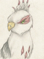 Size: 1714x2258 | Tagged: safe, artist:cindertale, imported from derpibooru, oc, oc only, griffon, bust, griffon oc, solo, style emulation, traditional art