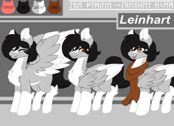 Size: 4000x2900 | Tagged: safe, artist:leinhart, imported from derpibooru, oc, oc only, oc:leinhart, pegasus, pony, clothes, open mouth, reference sheet, runes, scarf, smiling, solo, wings