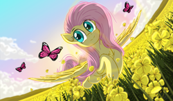 Size: 5600x3300 | Tagged: safe, artist:template93, imported from derpibooru, fluttershy, butterfly, pegasus, pony, absurd resolution, cloud, cute, flower, flower field, flowing mane, flowing tail, flying, grass, meadow, shyabetes, solo, spread wings, sun, wings