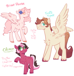 Size: 1757x1801 | Tagged: safe, artist:sugarysharky, imported from derpibooru, oc, oc only, oc:briar-rose, oc:oliver, oc:soft spot, earth pony, pegasus, pony, chest fluff, female, flower, flower in hair, male, mare, offspring, parent:big macintosh, parent:bulk biceps, parent:cheerilee, parent:fluttershy, parents:cheerimac, parents:flutterbulk, parents:fluttermac, siblings, simple background, stallion, step-siblings, transparent background, unshorn fetlocks, wavy mouth