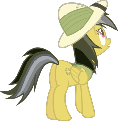 Size: 3829x3946 | Tagged: safe, artist:lincolnbrewsterfan, derpibooru exclusive, imported from derpibooru, daring do, pegasus, pony, daring doubt, .svg available, butt, concerned, female, folded wings, hat, looking up, mare, plot, rear view, simple background, solo, standing, svg, transparent background, vector, wings