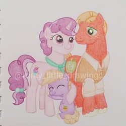 Size: 1050x1050 | Tagged: safe, artist:mmy_little_drawings, imported from derpibooru, big macintosh, little mac, sugar belle, pony, unicorn, clothes, colt, eyelashes, eyes closed, father and child, father and son, female, freckles, horn, hug, like father like son, like mother like son, like parent like child, male, mare, mother and child, mother and son, raised hoof, shipping, smiling, stallion, straight, sugarmac, traditional art, unshorn fetlocks, watermark