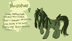 Size: 1900x1100 | Tagged: safe, artist:lavvythejackalope, imported from derpibooru, oc, oc only, earth pony, pony, colored hooves, dreadlocks, earth pony oc, female, green background, mare, raised hoof, reference sheet, simple background, smiling, solo