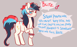 Size: 1800x1100 | Tagged: safe, artist:lavvythejackalope, imported from derpibooru, oc, oc only, oc:blitz, earth pony, pony, ear piercing, earth pony oc, face paint, male, piercing, raised hoof, reference sheet, simple background, solo, stallion