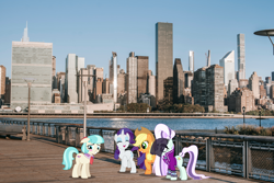 Size: 1920x1280 | Tagged: safe, artist:dashiesparkle, artist:dashiesparkle edit, edit, editor:jaredking203, imported from derpibooru, vector edit, applejack, coco pommel, coloratura, rarity, earth pony, pony, unicorn, countess coloratura, female, irl, manhattan, mare, new york, new york city, photo, ponies in real life, story included, vector