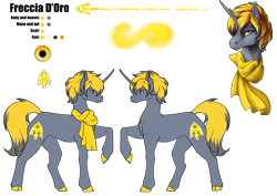 Size: 4961x3508 | Tagged: safe, artist:oneiria-fylakas, imported from derpibooru, oc, oc only, oc:freccia d'oro, pony, unicorn, clothes, male, raised hoof, reference sheet, scarf, simple background, solo, stallion, transparent background