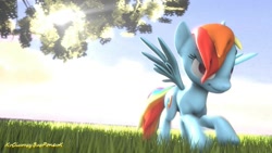 Size: 1280x720 | Tagged: safe, artist:xvclumsybusponevx, imported from derpibooru, rainbow dash, pony, 3d, solo