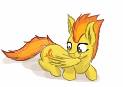 Size: 4096x2924 | Tagged: safe, artist:simplesample, imported from derpibooru, spitfire, pegasus, pony, grooming, high res, preening, simple background, solo, white background