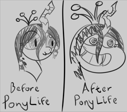 Size: 956x846 | Tagged: safe, artist:evan555alpha, imported from ponybooru, queen chrysalis, changeling, changeling queen, my little pony: pony life, 2 panel comic, before and after, bust, comic, crown, fangs, female, g4 to g4.5, gray background, head, jewelry, regalia, shitposting, simple background, sketch, smiling, solo, text, wide eyes