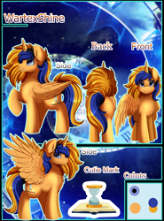 Size: 3929x5309 | Tagged: safe, artist:pridark, imported from derpibooru, oc, oc only, oc:wartex shine, alicorn, pony, alicorn oc, horn, male, reference sheet, solo, stallion, wings