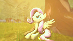 Size: 1280x720 | Tagged: safe, artist:cyberothedge, artist:maideshy, imported from derpibooru, fluttershy, pegasus, pony, 3d, forest, sitting, solo, source filmmaker, sunlight, tree
