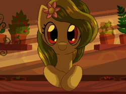 Size: 800x600 | Tagged: safe, artist:rangelost, imported from derpibooru, oc, oc only, pony, cyoa:d20 pony, bust, evening, female, flower, flower in hair, flower pot, indoors, looking at you, mare, pixel art, shop, smiling, solo