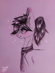 Size: 3120x4160 | Tagged: safe, artist:jsunlight, imported from derpibooru, oc, oc only, earth pony, pony, sketch, solo, traditional art