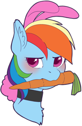 Size: 1176x1806 | Tagged: safe, artist:taytinabelle, imported from derpibooru, part of a set, rainbow dash, pegasus, pony, animal costume, blushing, bunny costume, bunny ears, bust, carrot, choker, clothes, collar, costume, cute, ear fluff, female, food, herbivore, looking at you, mare, mouth hold, rainbow dash always dresses in style, simple background, solo, transparent background, tsunderainbow, tsundere