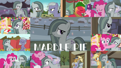 Size: 1970x1109 | Tagged: safe, edit, edited screencap, editor:quoterific, imported from derpibooru, screencap, big macintosh, igneous rock pie, limestone pie, marble pie, pinkie pie, sugar belle, earth pony, pony, best gift ever, hearthbreakers, rock solid friendship, the cutie mark chronicles, the maud couple, collage, female, filly, male, mare, stallion