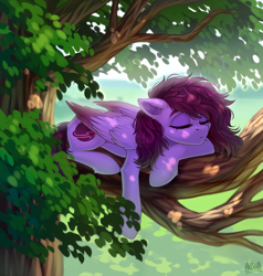 Size: 3500x3675 | Tagged: safe, artist:hakaina, imported from derpibooru, oc, oc only, oc:veen, pegasus, pony, beautiful, eyes closed, freckles, high res, leaves, lighting, lying down, messy mane, prone, scenery, sleeping, slim, solo, tree, tree branch