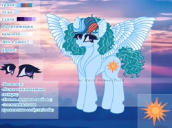 Size: 1024x765 | Tagged: safe, artist:maryhoovesfield, imported from derpibooru, oc, oc only, pegasus, pony, cyrillic, ear fluff, eyelashes, grin, pegasus oc, reference sheet, russian, signature, smiling, solo, spread wings, wings