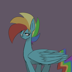 Size: 600x600 | Tagged: safe, artist:raijuri, imported from derpibooru, rainbow dash, pegasus, pony, large wings, male, rainbow blitz, raised eyebrow, rule 63, simple background, solo, stallion, wings