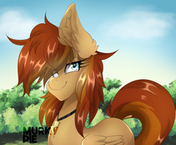 Size: 1900x1571 | Tagged: safe, artist:murkypie, imported from derpibooru, oc, oc only, oc:thunder twirl, pegasus, pony, solo