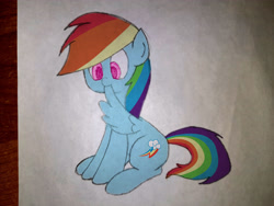 Size: 4000x3000 | Tagged: safe, artist:ponywka, imported from derpibooru, rainbow dash, pegasus, pony, backwards cutie mark, female, grooming, mare, painted, photo, preening, sitting, solo, traditional art