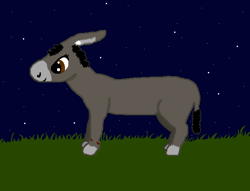 Size: 600x459 | Tagged: safe, artist:sanluris, imported from derpibooru, oc, oc:sylva, donkey, pony, night, solo