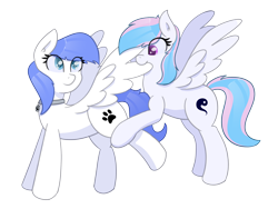 Size: 3200x2400 | Tagged: safe, artist:eyeburn, imported from derpibooru, oc, oc only, oc:snow pup, oc:starburn, pegasus, pony, collar, ear fluff, female, grooming, high res, lifted leg, looking back, mare, on hind legs, pet tag, preening, simple background, spread wings, standing, transparent background, wings