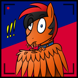 Size: 725x725 | Tagged: safe, artist:anorangepegasus, imported from derpibooru, oc, oc only, oc:winged whisper, pegasus, pony, collar, exclamation point, eye clipping through hair, eyebrows, eyebrows visible through hair, feather, grooming, male, preening, recording, solo, spread wings, stallion, surprised, wings