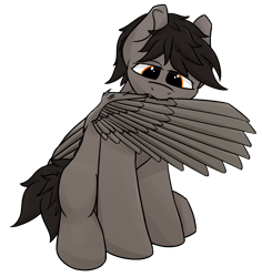 Size: 1748x1848 | Tagged: safe, artist:luther, imported from derpibooru, oc, oc only, oc:luther, pegasus, pony, grooming, male, preening, simple background, sitting, solo, transparent background