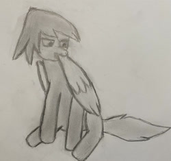 Size: 2475x2328 | Tagged: safe, artist:endgame, imported from derpibooru, oc, oc only, oc:endgame, pony, grooming, high res, preening, sitting, sketch, solo, traditional art