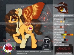 Size: 1024x765 | Tagged: safe, alternate version, artist:maryhoovesfield, imported from derpibooru, oc, oc only, pegasus, pony, cyrillic, ear fluff, ear piercing, earring, eye scar, eyelashes, floppy ears, jewelry, pegasus oc, piercing, raised hoof, reference sheet, russian, scar, solo, wings