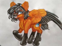 Size: 1024x753 | Tagged: safe, artist:maryhoovesfield, imported from derpibooru, oc, oc only, pegasus, pony, coat markings, ear fluff, eyelashes, fangs, hoof fluff, pegasus oc, socks (coat markings), solo, traditional art, two toned wings, wings