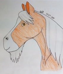Size: 2928x3430 | Tagged: safe, artist:agdapl, imported from derpibooru, oc, oc only, earth pony, pony, beard, bust, earth pony oc, facial hair, high res, signature, solo, traditional art