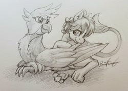 Size: 2272x1627 | Tagged: safe, artist:invalid-david, imported from derpibooru, gallus, sandbar, earth pony, griffon, pony, assisted preening, drawing, gallbar, gay, griffon x pony, grooming, interspecies, male, monochrome, pencil drawing, preening, shipping, teenager, traditional art