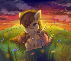 Size: 1580x1352 | Tagged: safe, artist:yuris, imported from derpibooru, oc, oc only, oc:sharpwing, pegasus, pony, blue eyes, brown mane, commission, field, flower, folded wings, frown, lies, male, pegasus oc, solo, wind, wings, ych result