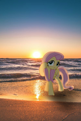 Size: 500x750 | Tagged: safe, imported from derpibooru, fluttershy, pegasus, beach, smiling, sundown