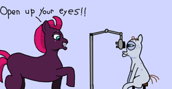 Size: 1920x997 | Tagged: safe, artist:ncpilot, imported from derpibooru, fizzlepop berrytwist, mr. waddle, tempest shadow, pony, 1000 hours in ms paint, missing cutie mark, open up your *very* eyes, open up your eyes, optometrist