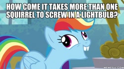 Size: 600x337 | Tagged: safe, edit, edited screencap, imported from derpibooru, screencap, rainbow dash, newbie dash, caption, forthright filly, image macro, memeful.com, spongebob squarepants, squirrel jokes, text